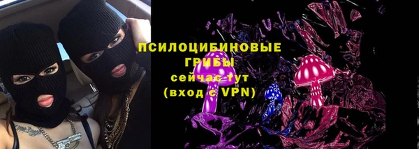 дживик Бронницы