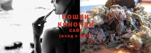 спайс Бородино