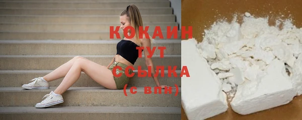 дживик Бронницы