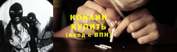 дживик Бронницы