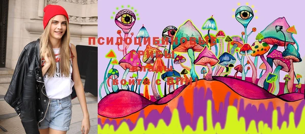 дживик Бронницы