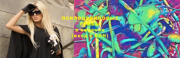 СК Богородицк