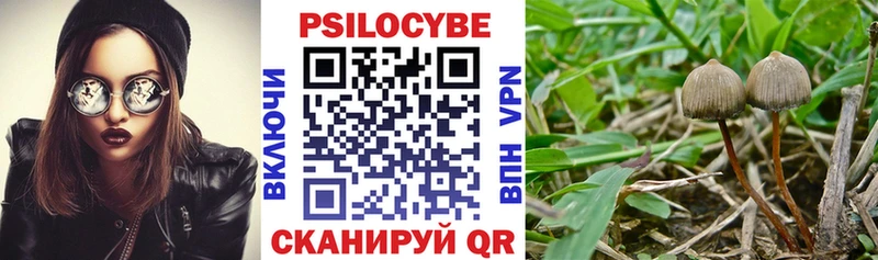 Псилоцибиновые грибы ЛСД  где можно купить наркотик  Горно-Алтайск 